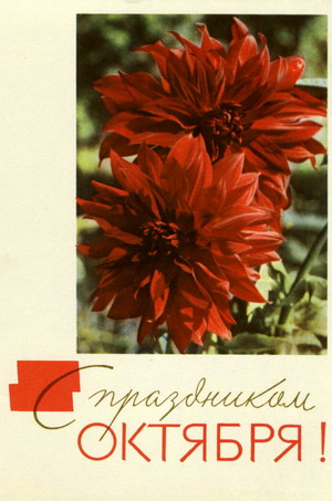 7 Ноября