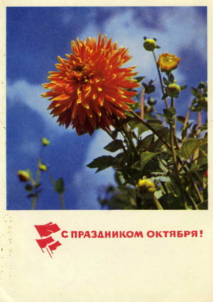 7 Ноября